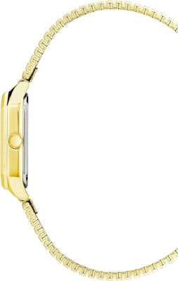 Часы наручные Anne Klein AK/3980CHGB
