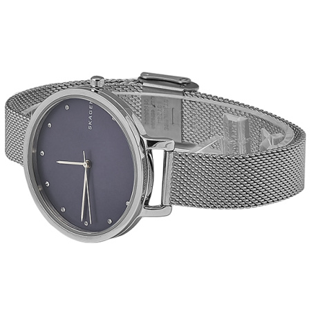 Часы наручные Skagen SKW2582