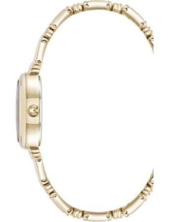Часы наручные Anne Klein AK/5226CHGB