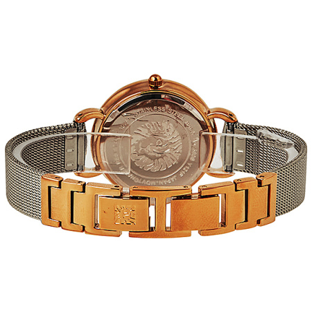 Часы наручные Anne Klein AK/3807SVRT