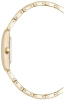 Часы наручные Anne Klein AK/5114SVGB