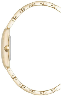 Часы наручные Anne Klein AK/5114SVGB