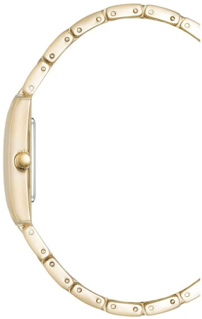 Часы наручные Anne Klein AK/5114SVGB