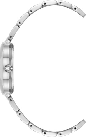 Часы наручные Anne Klein AK/5021SVSV