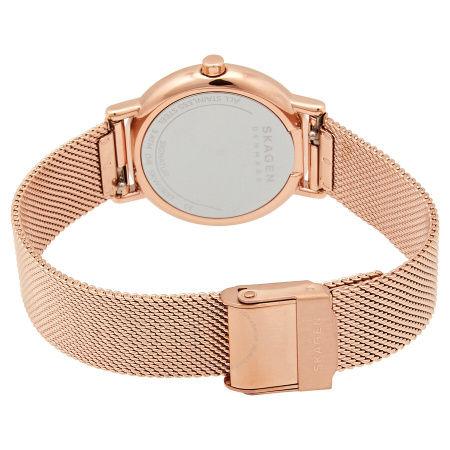 Часы наручные Skagen SKW2837 