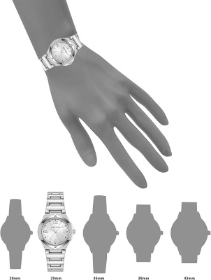 Чфсы наручные Anne Klein 10/8655SISV