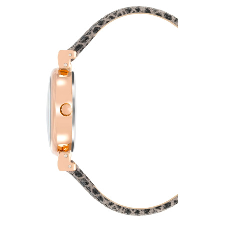 Часы наручные Anne Klein AK/2246RGSN