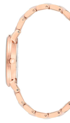 Часы наручные Anne Klein AK/1412RGWT