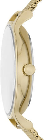 Часы наручные Skagen SKW3145 Часы наручные Skagen SKW3145