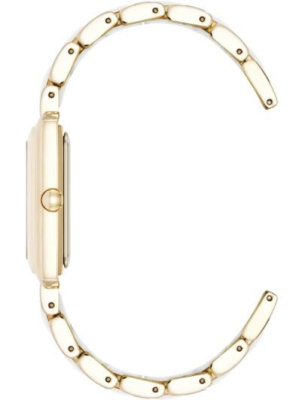 Часы наручные Anne Klein AK/5278GPWT