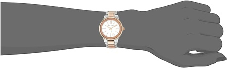 Часы наручные Anne Klein AK/3877SVRT