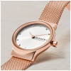 Часы наручные Skagen SKW2665 