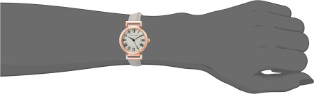 Часы наручные Anne Klein AK/2246RGTP