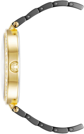 Часы наручные Anne Klein AK/3900BKGB 