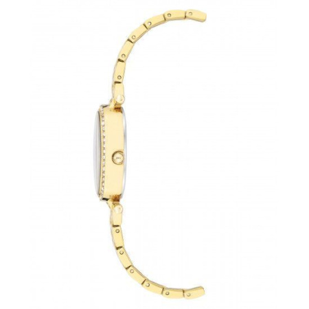 Часы наручные Anne Klein AK/3970GBST