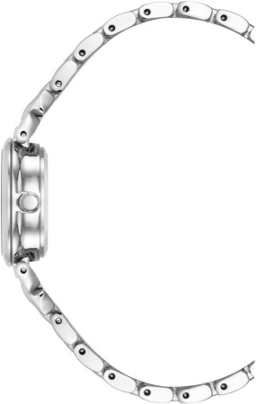 Часы наручные Anne Klein AK/4145SVST