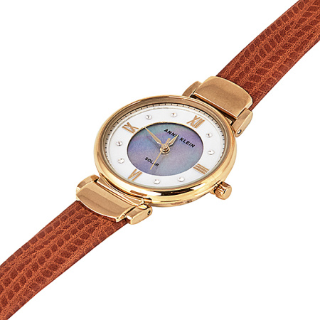 Часы наручные Anne Klein AK/3660MPHY