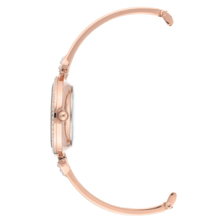 Часы наручные Anne Klein AK/3466RGST