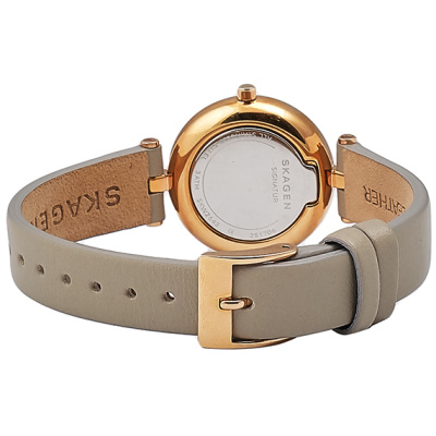 Часы наручные Skagen SKW2643