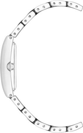 Часы наручные Anne Klein AK/3999BKSV