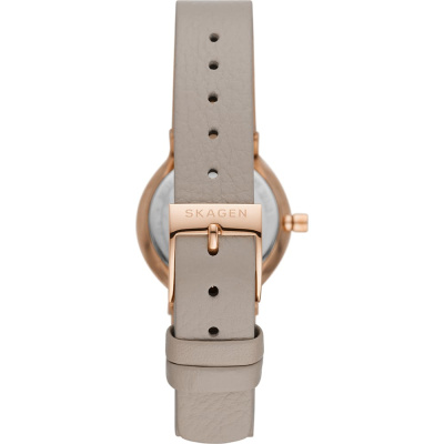 Часы наручные Skagen SKW3005