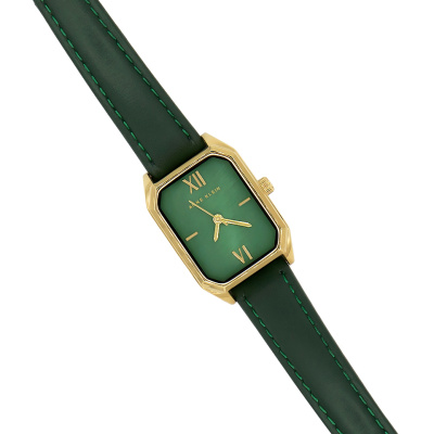 Часы наручные Anne Klein AK/3874GMGN