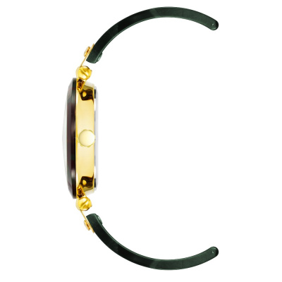 Часы наручные Anne Klein 10/9652GMGN