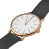 Часы наручные Skagen SKW6430