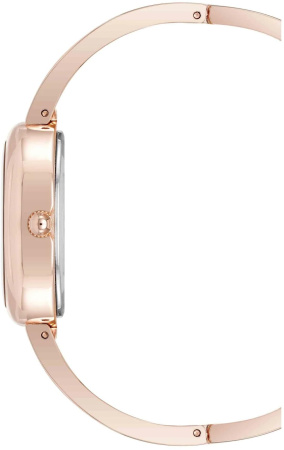 Часы наручные Anne Klein AK/5108RQST