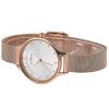 Часы наручные Skagen SKW2151