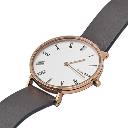 Часы наручные Skagen SKW2674