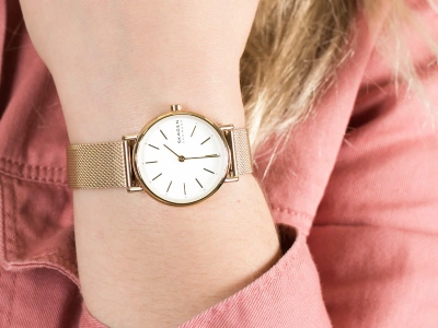 Часы наручные Skagen SKW2693 