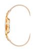 Часы наручные Anne Klein 10/9168RGBH 