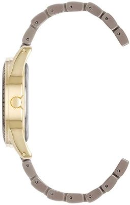 Часы наручные Anne Klein AK/5068GPTP