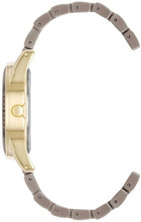 Часы наручные Anne Klein AK/5068GPTP