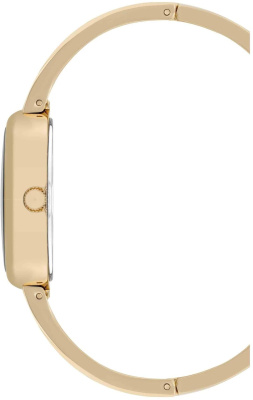 Часы наручные Anne Klein AK/5108BLST