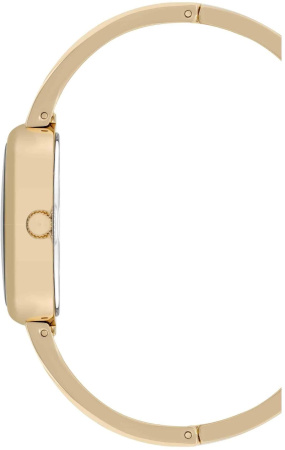 Часы наручные Anne Klein AK/5108BLST