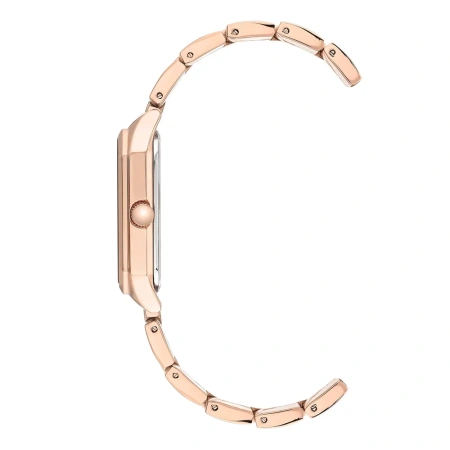 Часы наручные Anne Klein AK/3774NVRG