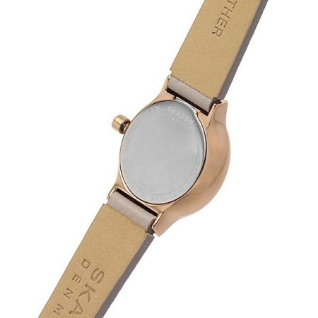 Часы наручные Skagen SKW3005 Часы наручные Skagen SKW3005