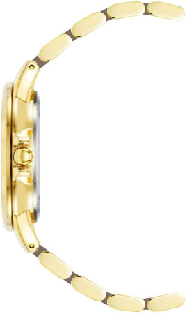 Часы наручные Anne Klein AK/4120TPGB Часы наручные Anne Klein AK/4120TPGB