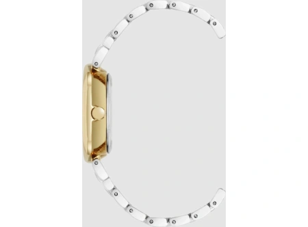 Часы наручные Anne Klein AK/5329MPTT