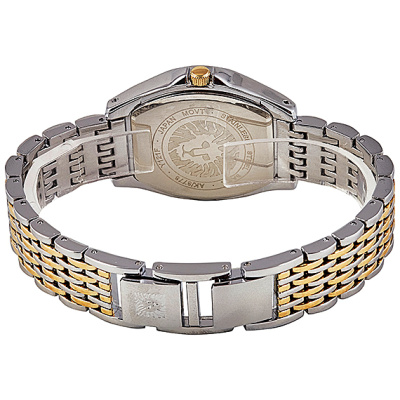 Наручные часы Anne Klein AK/3773MPTT