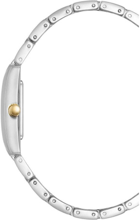 Часы наручные Anne Klein AK/5115SVTT Часы наручные Anne Klein AK/5115SVTT