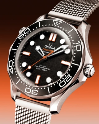Часы наручные Omega 21030422001018 
