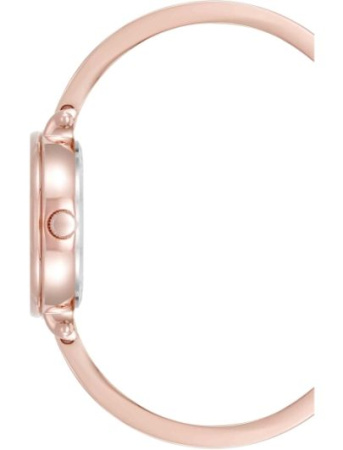 Часы наручные Anne Klein AK/5116NVST