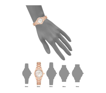Часы наручные Anne Klein 10/5490MPRG