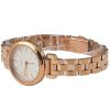 Часы наручные DKNY NY2592 Часы наручные DKNY NY2592