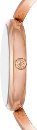 Часы наручные Armani Exchange AX5384