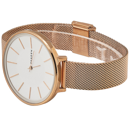 Часы наручные Skagen SKW2688