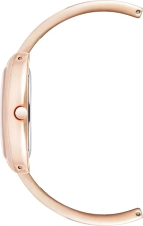 Часы наручные Anne Klein AK/5238BHRG